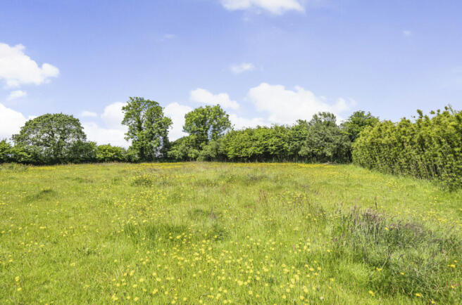 Land