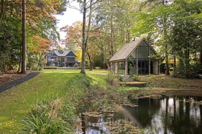 WhatsApp Image 2026-02-17 at 16.48.37.jpeg