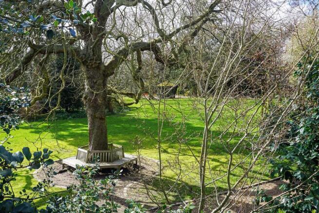 Communal Garden