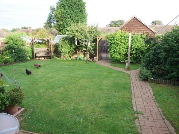Photo 11