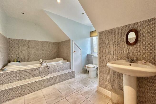 IMG_3946.jpeg