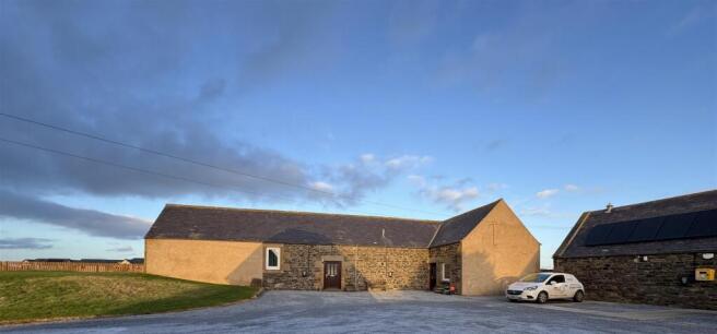 bunny and beach 2.jpeg