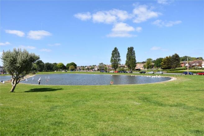Surrounding Area