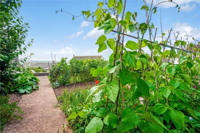 Vegetable Garden