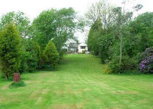 Garden - View 2