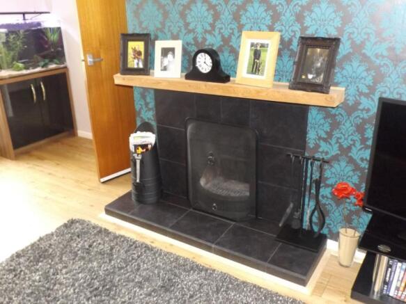 Feature Fireplace