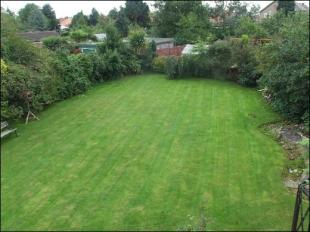 Large rear garden