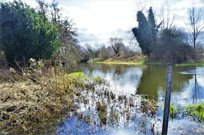 Tranquil riversid...