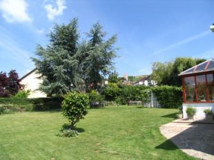 Picture No.14