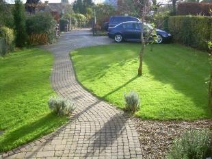 New Vendor Front Gdn