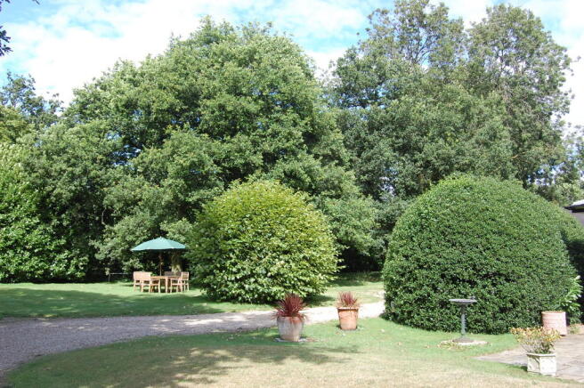 Photo 17