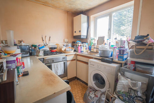 20260324-DSC08522...