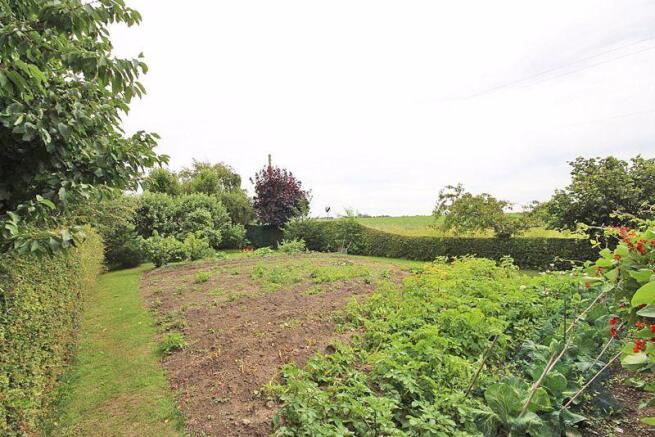 Growing area v...