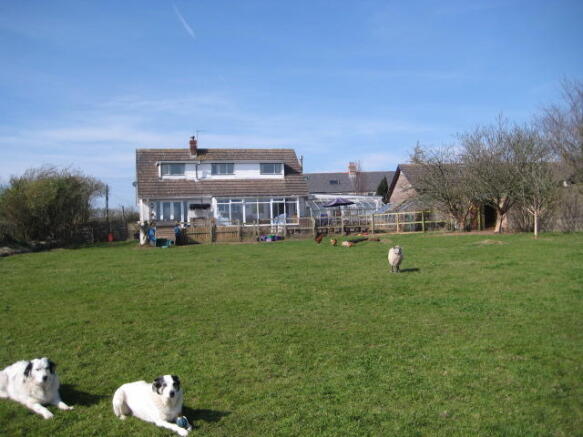 Photo 15
