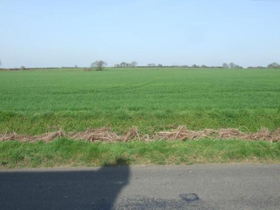 Outlook