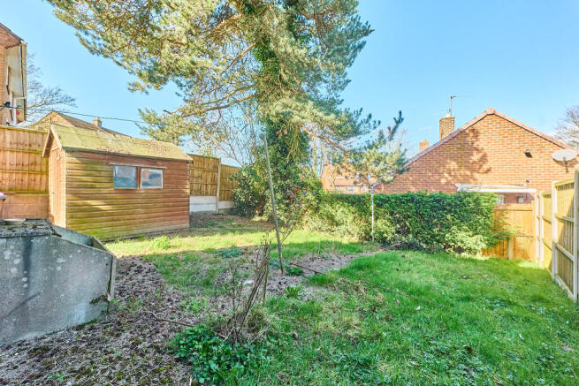 P1689816 T202603171704.jpg