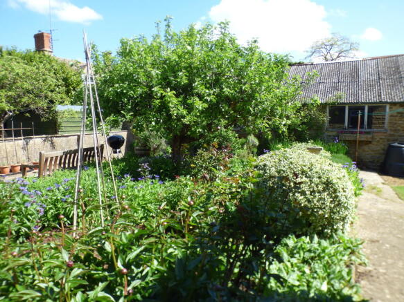 Photo 19