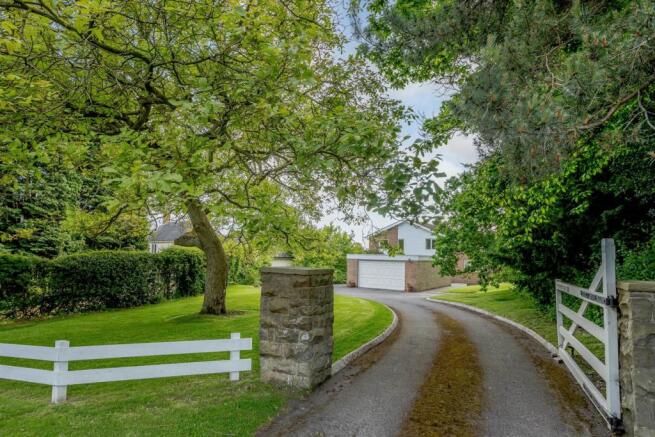 Driveway