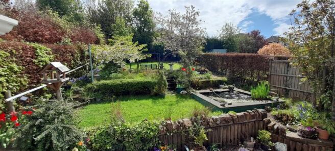 Garden 5.jpg