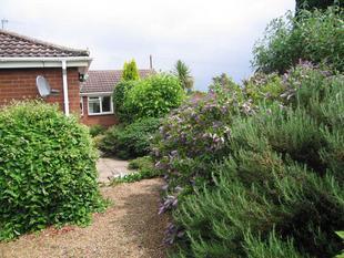 Front Garden1