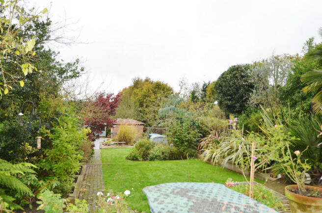 Photo 12