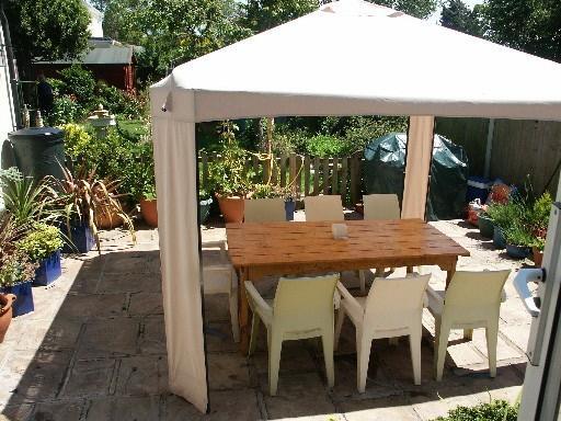 Sunny Garden