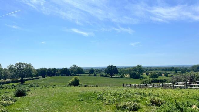 Paddock with Southerly Views