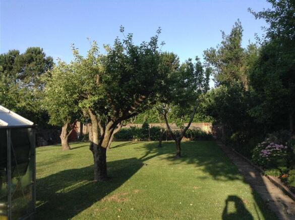 Photo 26