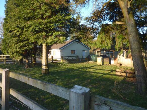 Photo 3