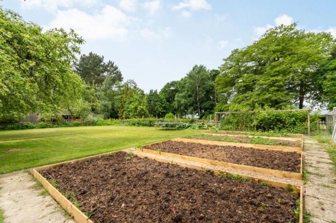 Vegetable Patch