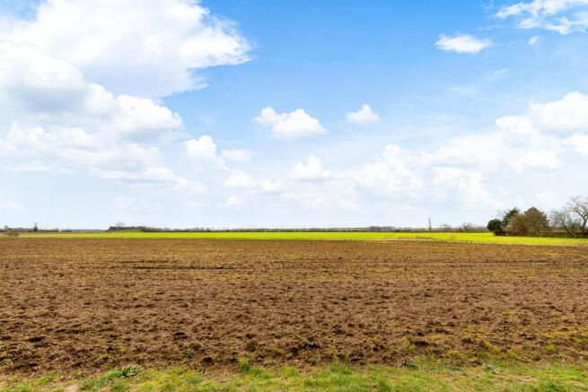 Field Views