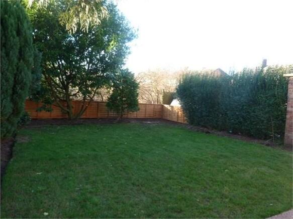 photo12