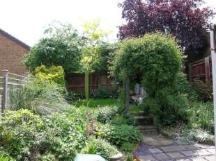 Photo 10