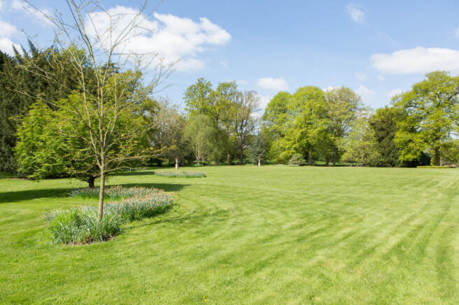 Grounds