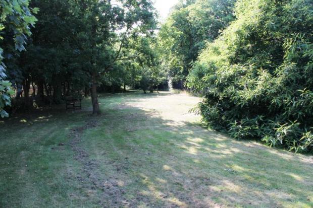 Communal Gardens
