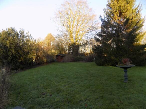 Photo 4
