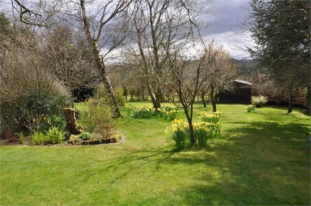The Garden