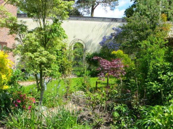 garden summer 1.jpg