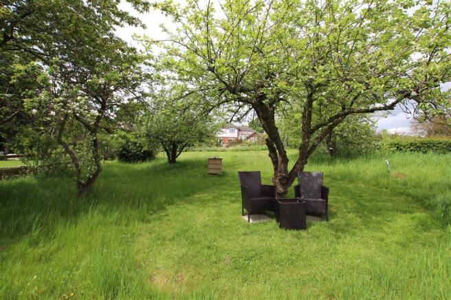 Garden 2