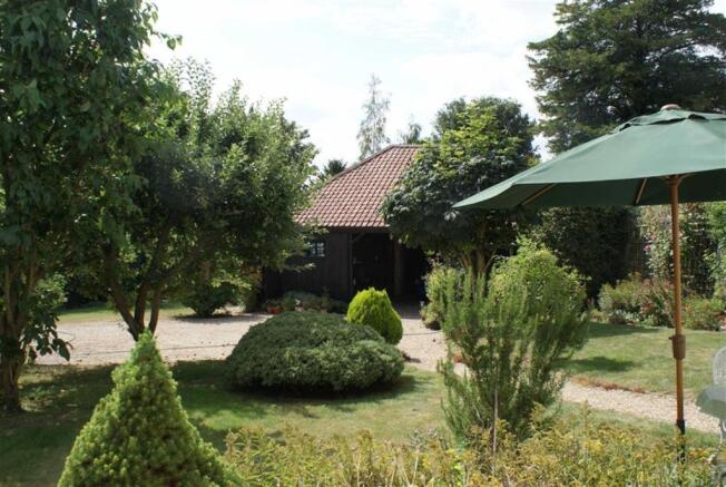 Photo 11