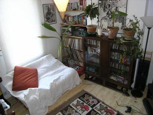 Photo 4