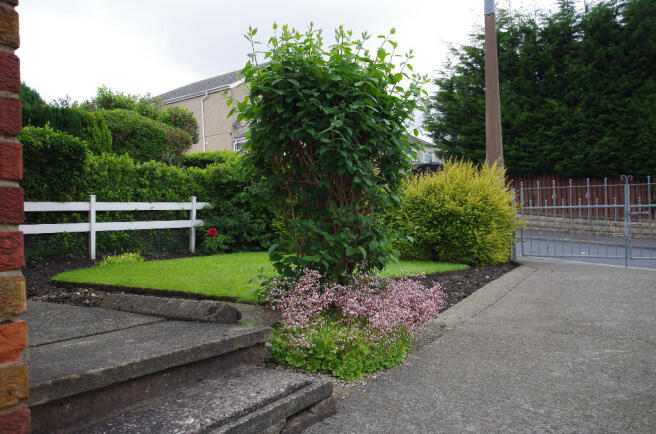 Photo 12