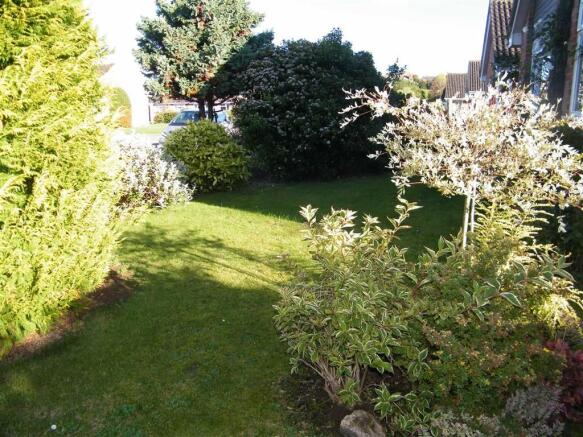 Photo 8