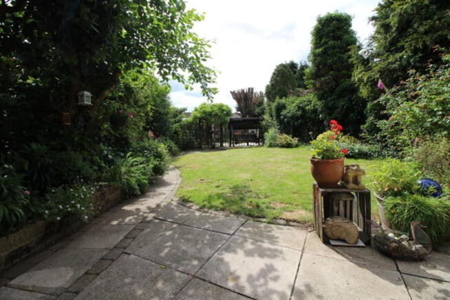 Photo 11