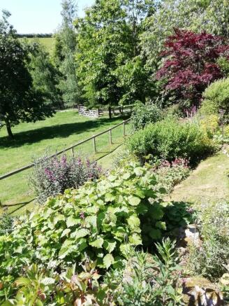 Garden at the front of the house