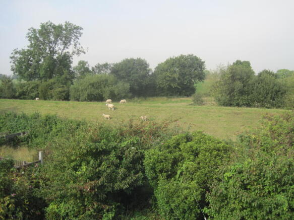 View to Rear