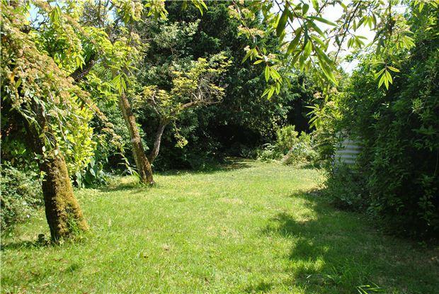 Bottom of Rear Garden