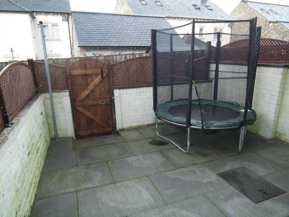 Picture 8