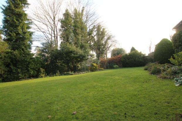 Garden 1
