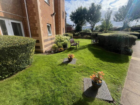 Photo 15